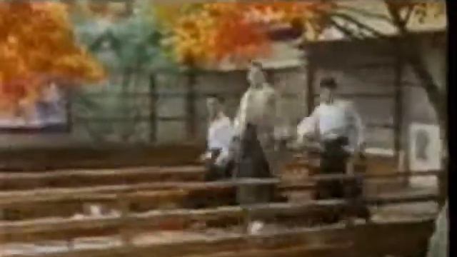 Jet Li with techno dance music смотреть онлайн