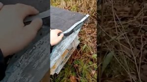 Заброшенные ульи посреди леса