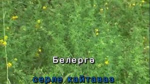 Кайтаваз.Татарча Караоке
