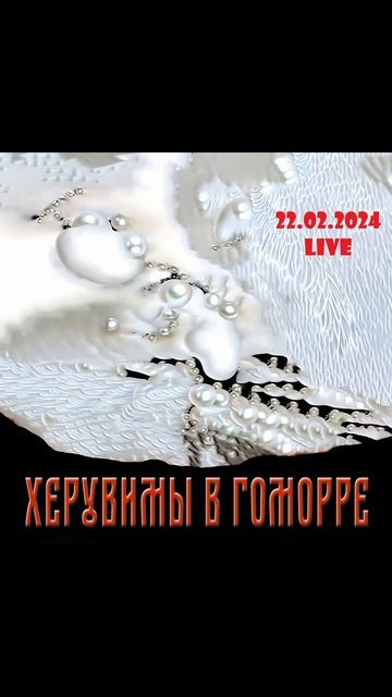 Херувимы В Гоморре - Live 22.02.2024 УЖЕ В СЕТИ #кипелов #liverock #сынкипелова #shorts