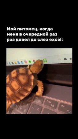 Съешь excel, давай!