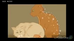 Коты - воители. Огнезёзд.