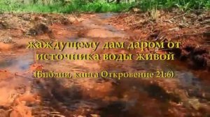 ЖИВОЙ РОДНИК -  исп.  христианский ансамбль  "Живой родник" , сл  и муз  Любови Ребровой