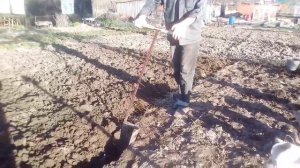 Лопата вятский пахарь / Чудо лопата