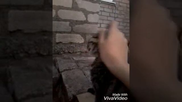 Встреча рассвета с Марсом:333 смотреть онлайн