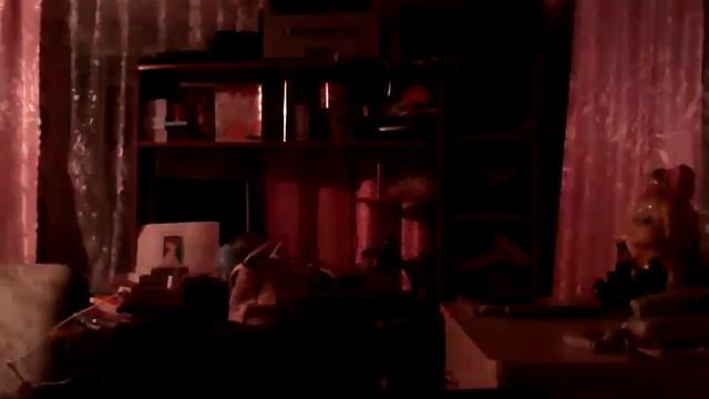 привет кто не спит сегодня лунное затмение смотреть онлайн