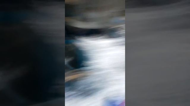 Карнавал 17.08.2017 смотреть онлайн