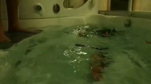 Самолёт упал в воду - 21 окт. 2017