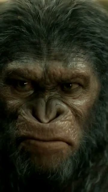 Koba's Rebellion: Ceasar's Answer to Ape Betrayal | Planet of the Apes | Dawn to Kingdom | #apes смотреть онлайн