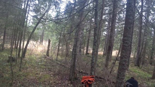 Охота с гончей и сыном на зайца смотреть онлайн