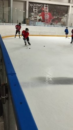 хоккей 🏒 для детей