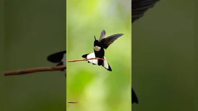 моя мечта лицезреть такой мир вокруг себя смотреть онлайн