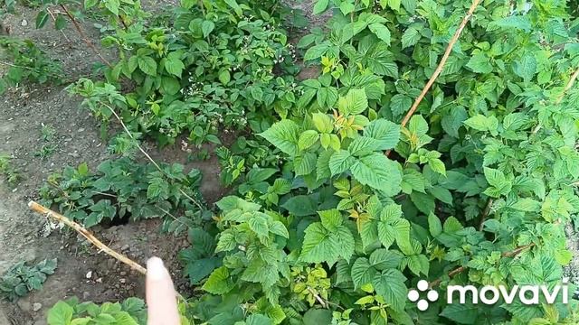 Вязание и жизнь./Что вяжу ,что связала!?