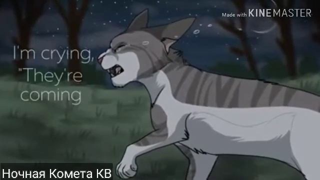 Голубка и Искра/Dovewing and Ivypool. 「Order from the channel fix jy」 (I'm not sure what did right) смотреть онлайн