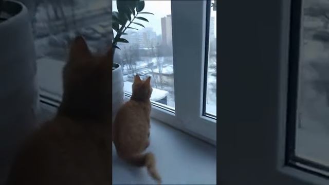 Марси и первый снег смотреть онлайн