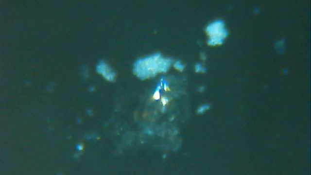 2-Satie-Therapie spontan-session version delfy смотреть онлайн