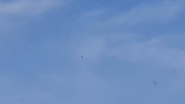 НЛО над г. Никольское Тосненский р-н, 06.01.2019г смотреть онлайн