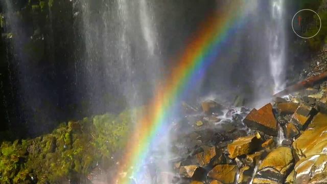 Land Of Beautiful Flowers || Rainier Mountains and National Park || Washington USA || 4K HD Video смотреть онлайн