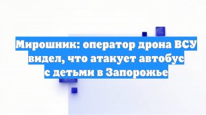 Мирошник: оператор дрона ВСУ видел, что атакует автобус с детьми в Запорожье