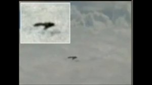 дайджест нло ufo октябрь 2020