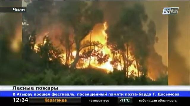 На западе Чили горят лесные массивы