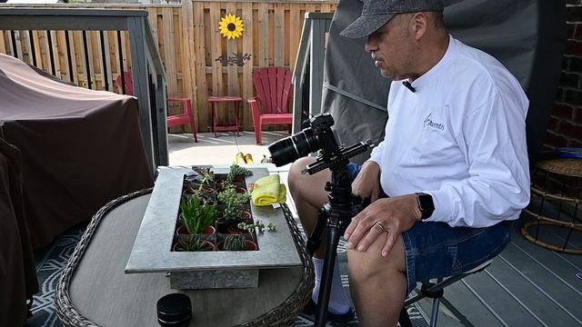 Macro work with Lensbaby Velvet 56 смотреть онлайн