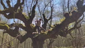 Строительство бревенчатого домика с камином в диком лесу. Зимний кемпинг