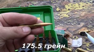 Охотничий карабин Лось 145-308. Тест пули Грин Хант 170 грейн для охоты. Стрельба до 220 метров.