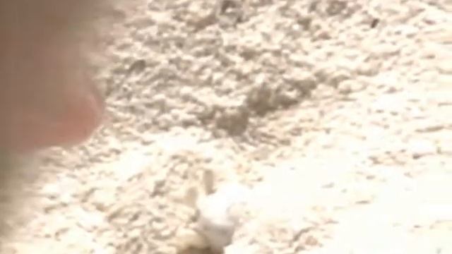 VTS 01 1 смотреть онлайн