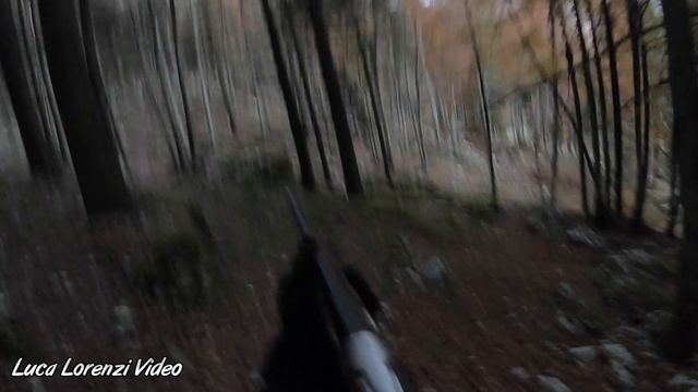 "La beccaccia dei sassi" смотреть онлайн