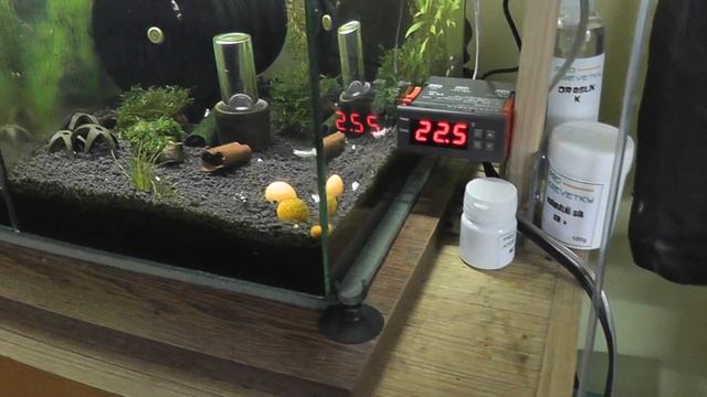 Aquarium automatic cooling DIY - chlazení akvária смотреть онлайн