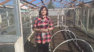 Чем помыть и обработать теплицу.