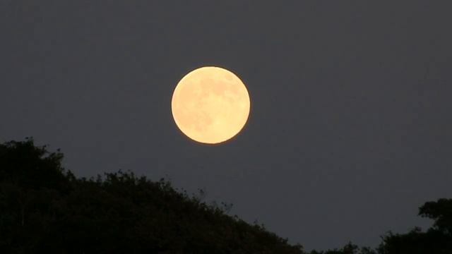"Full Moon Rising" смотреть онлайн