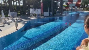 #Royal holiday palace #2024