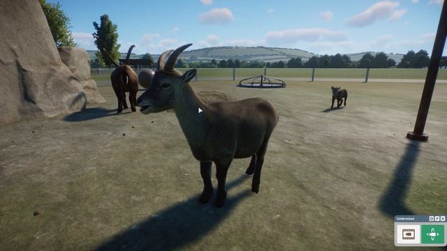 🐯 Europa Pack - Die Tiere des DLC inkl. Tierbabys  - Planet Zoo Update #52