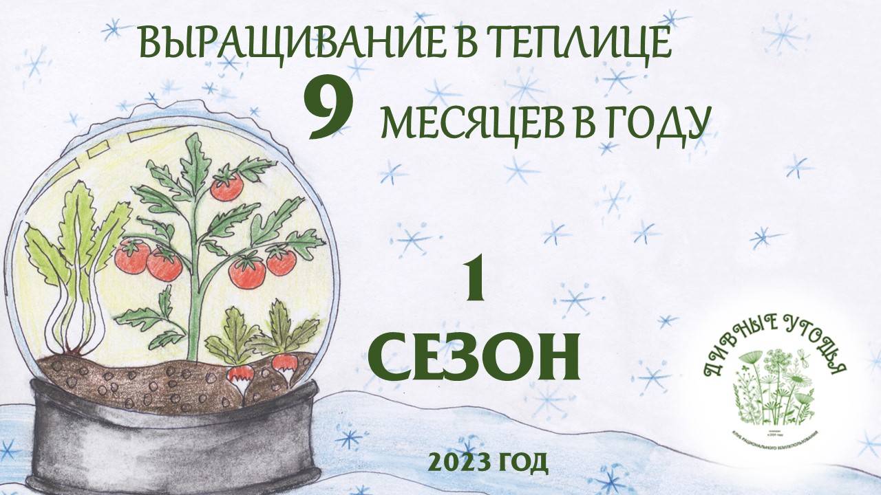 Ранний посев в теплице. Знакомство с технологией / 2023 год. Анна Долгих