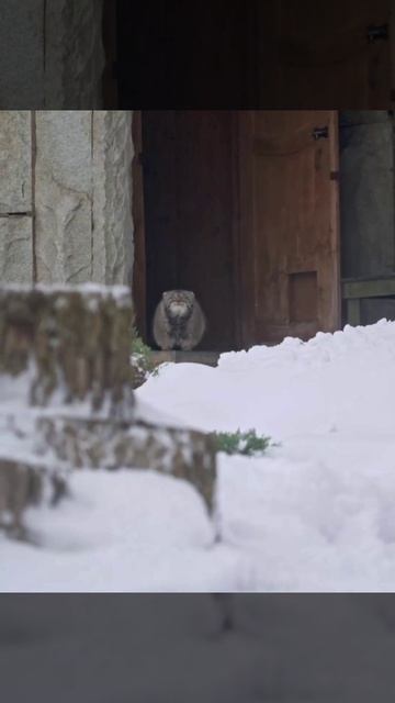 Мем ТГ https://t.me/FireWorldMemes смотреть онлайн