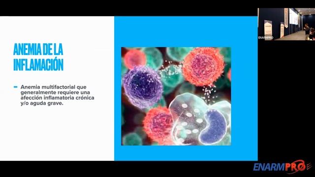 ANEMIAS CARENCIALES DE INFLAMACION Y TALASEMIAS смотреть онлайн