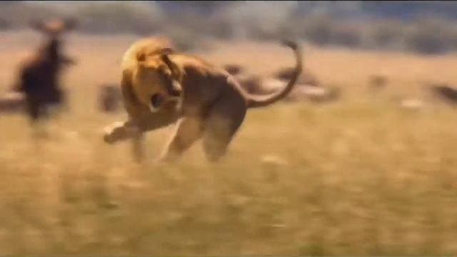 Самое популярное видео на YouTube