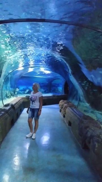 Москва.Океанариум. смотреть онлайн