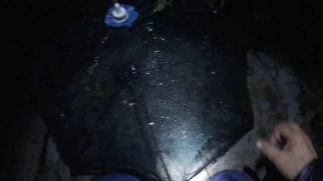 РАКИ!!! ОСТАВИЛ РАКОЛОВКИ на ТРИ ДНЯ и вот что из этого вышло. Ловля КРУПНЫХ РАКОВ поздней ОСЕНЬЮ. смотреть онлайн