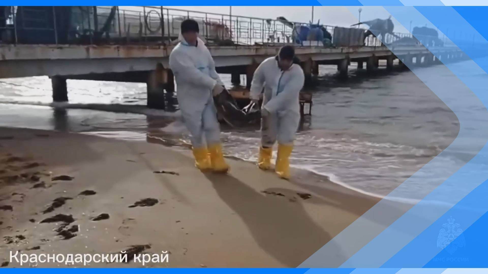 04.02.2025  Кузбасские волонтеры очистили от мазута более 6,5 километров пляжа в Анапе