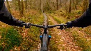 Dyfi Forest EMTB