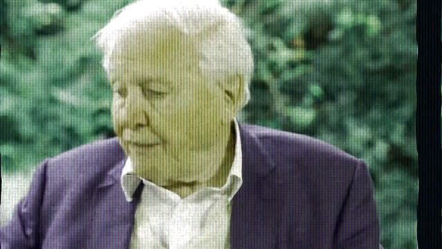 Apple Bottom Jeans by David Attenborough смотреть онлайн