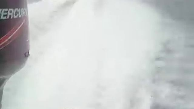 Motor Mercury 115 Efi смотреть онлайн