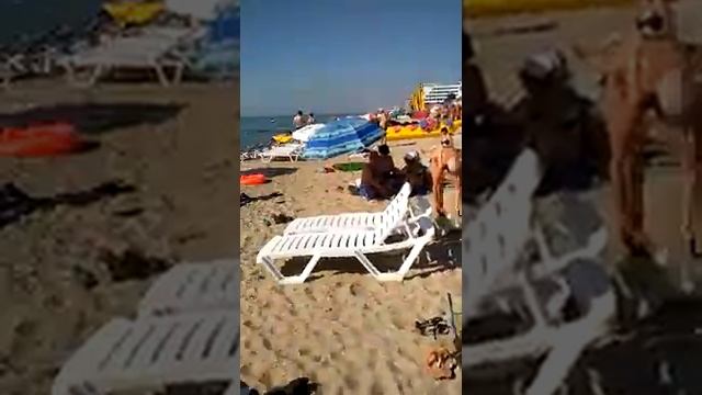 Затока