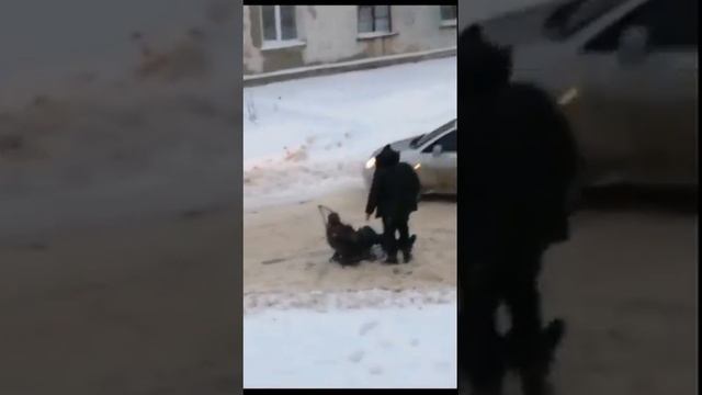 Верные друзья!