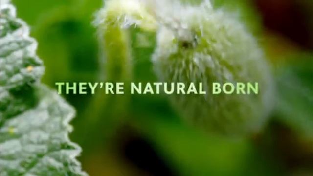 The Green Planet Series - Preview смотреть онлайн