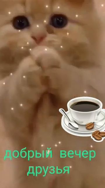 25 октября 2022 г. смотреть онлайн