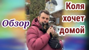 Обзор- Самвел Адамян БРОСИЛ КОЛЮ. УШЁЛ НА СВИДАНИЕ С ДРУГИМ